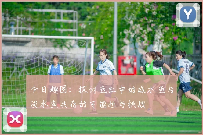 今日趣图：探讨鱼缸中的咸水鱼与淡水鱼共存的可能性与挑战