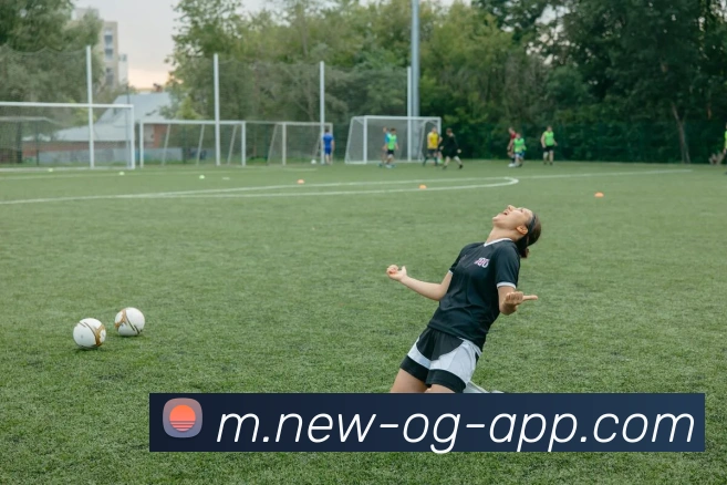 OG真人平台生态图